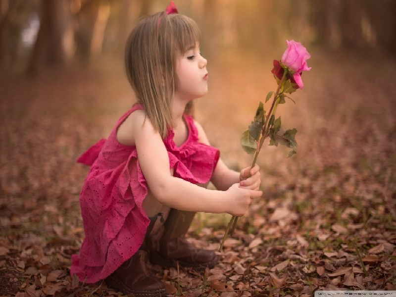 做试管告知书湖南哪家试管最好试管生长素作用